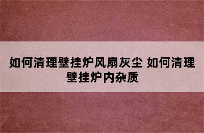 如何清理壁挂炉风扇灰尘 如何清理壁挂炉内杂质